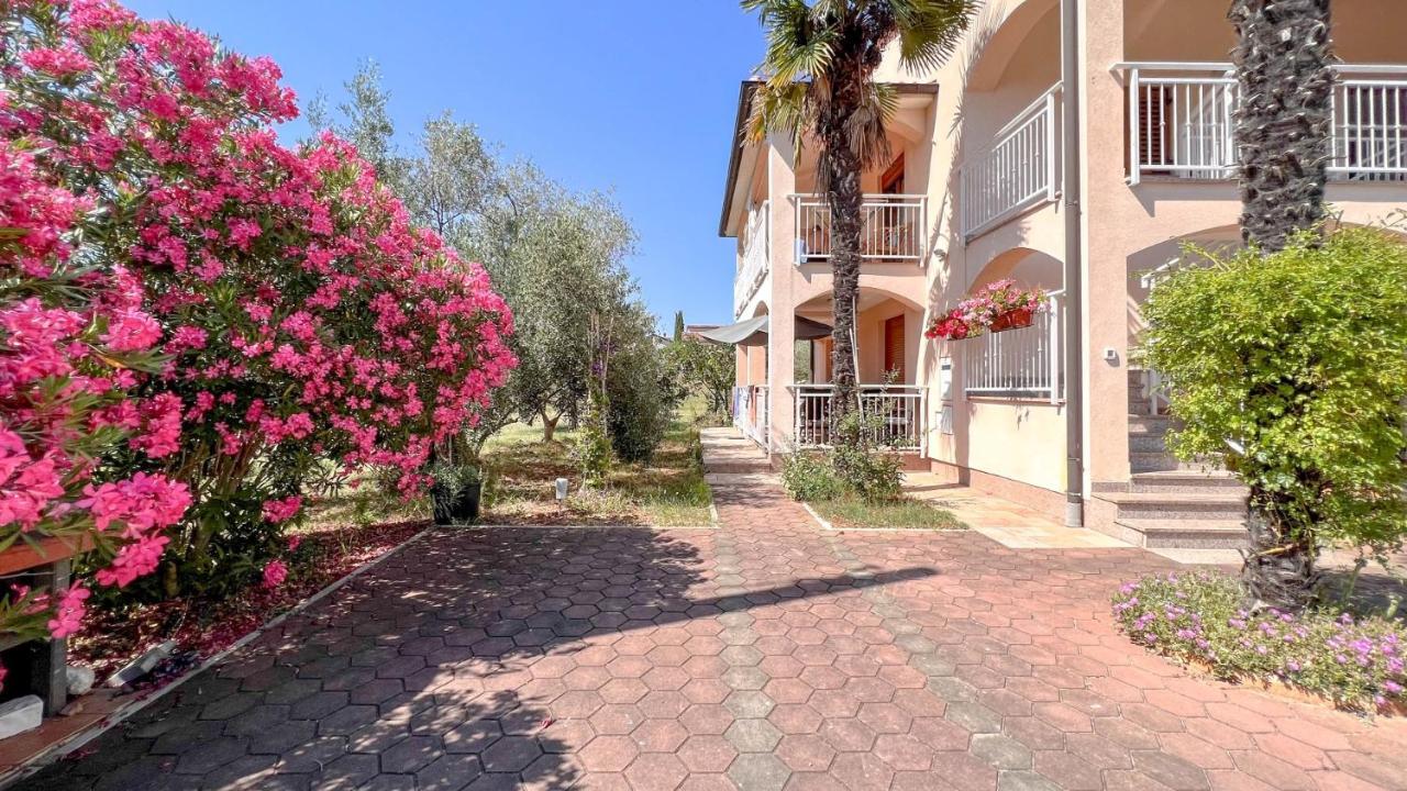 Viola Three Apartment Novigrad  Exterior photo
